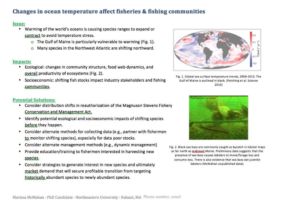 Example of a one pager by Dr. Marissa McMahan. Title: Changes in ocean temperature affect fisheries and fishing communities. Issue: Warming of the world's oceans is causing species ranges to expand or contract to avoid temperature stress. The Gulf of Maine is particularly vulnerable to warming (Fig. 1). Many species in the Northwest Atlantic are shifting northward. Impacts: Ecological: changes in community structure, food web dynamics, and overall productivity of ecosystems (Fig. 2). Socioeconomic: shifting fish stocks impact industry stakeholders and communities. Potential solutions: Consider distribution shifts in reauthorization of the Magnuson Stevens Fishery Conservation and Management Act. Identify potential ecological and socioeconomic impacts of shifting species before they happen. Consider alternate methods for collecting data (e.g. partner with fishermen to monitor shifting species), especially for data poor stocks. Consider alternate management methods (e.d. dynamic management). Provide education/training to fishermen interested in harvesting new species. Consider strategies to generate interest in new species and ultimately market demand that will secure profitable transition from targeting historically abundant species to newly abundant species. Fig 1: Global sea surface temperature trends, 2004-2013. The Gulf of Maine is outlined in black (Pershing et al. Science 2015). Fig 2. Black sea bass are commonly caught as bycatch in lobster traps as far north as midcoast Maine. Preliminary data suggests that the presence of sea bass causes lobsters to move/forage less and consume less. There is also evidence that sea bass eat juvenile lobsters (McMahan unpublished data). Marissa McMahan, PhD candidate, Northeastern University, Nahant, MA, phone, email. 