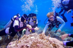 Three scuba divers hover over a coral reef, where they are transplanting new coral. one of the divers has short hair and is recognizable as Dr. Jane Lubchenco. 