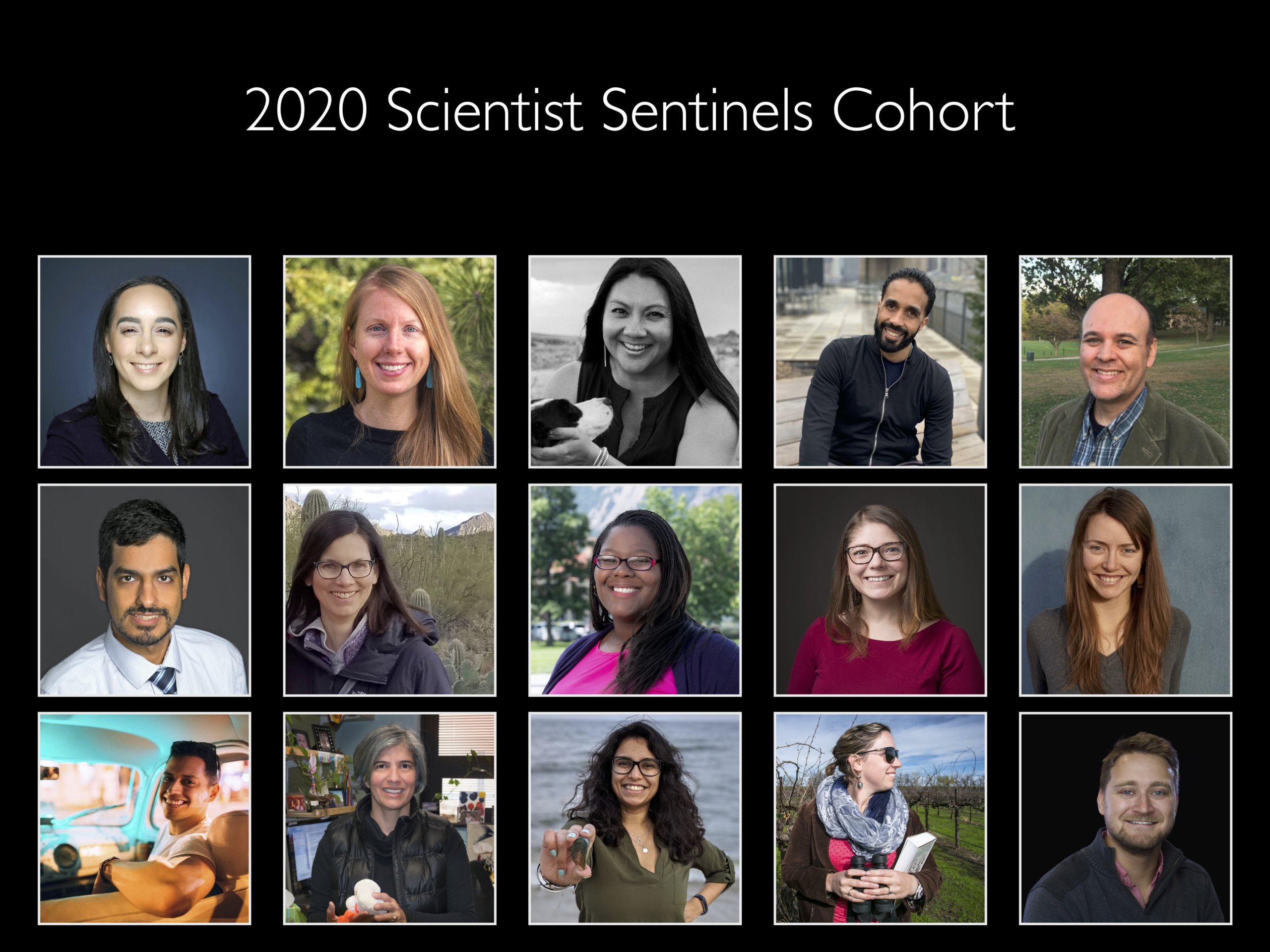 Composite image of the fifteen 2020 Scientist Sentinels.