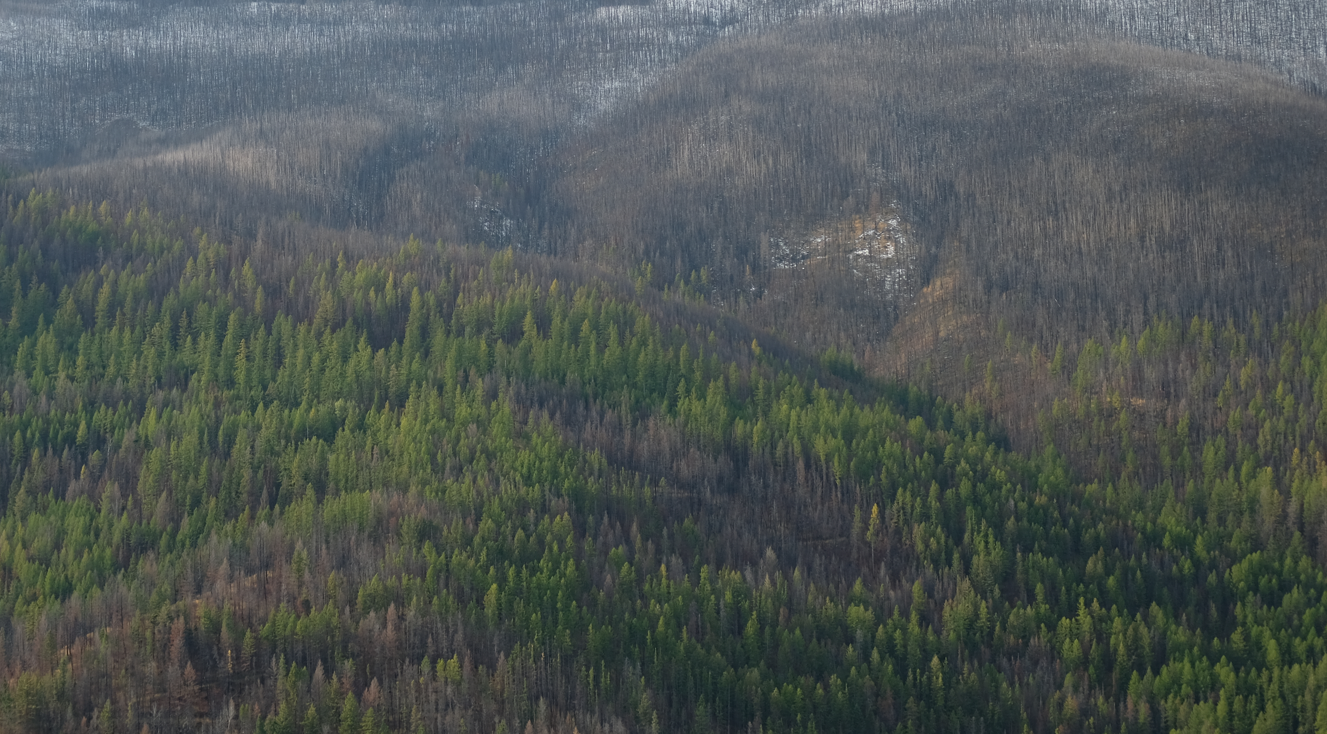 Game Time: Connecting Wildfire Scientists and Journalists in Montana