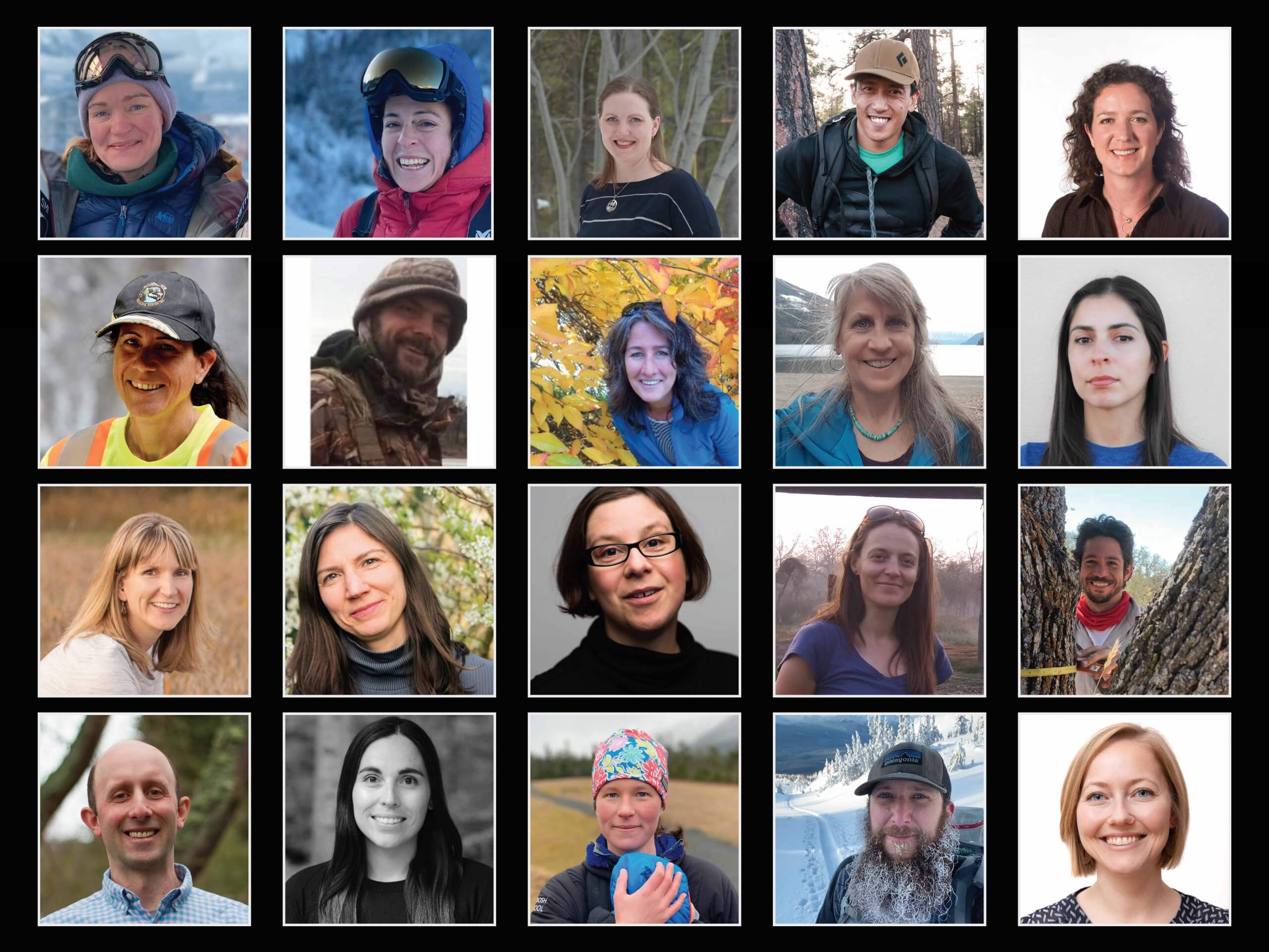 Meet the 2021 Wilburforce Leaders in Conservation Science
