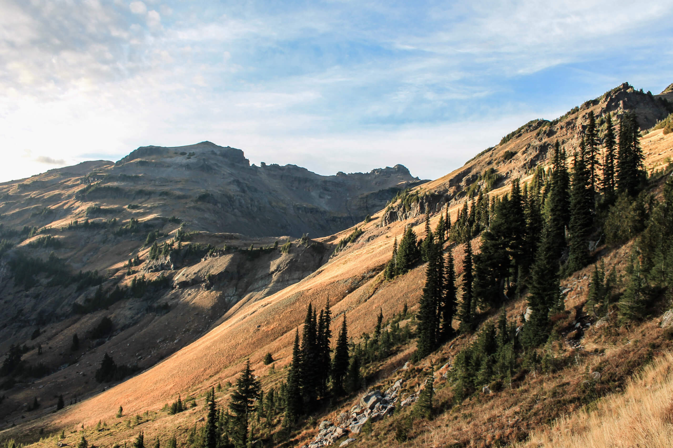 Landscape of mountains and trees in Washington State