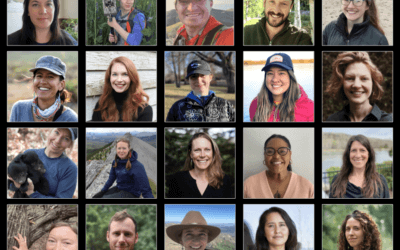 Meet the 2023 Wilburforce Leaders in Conservation Science