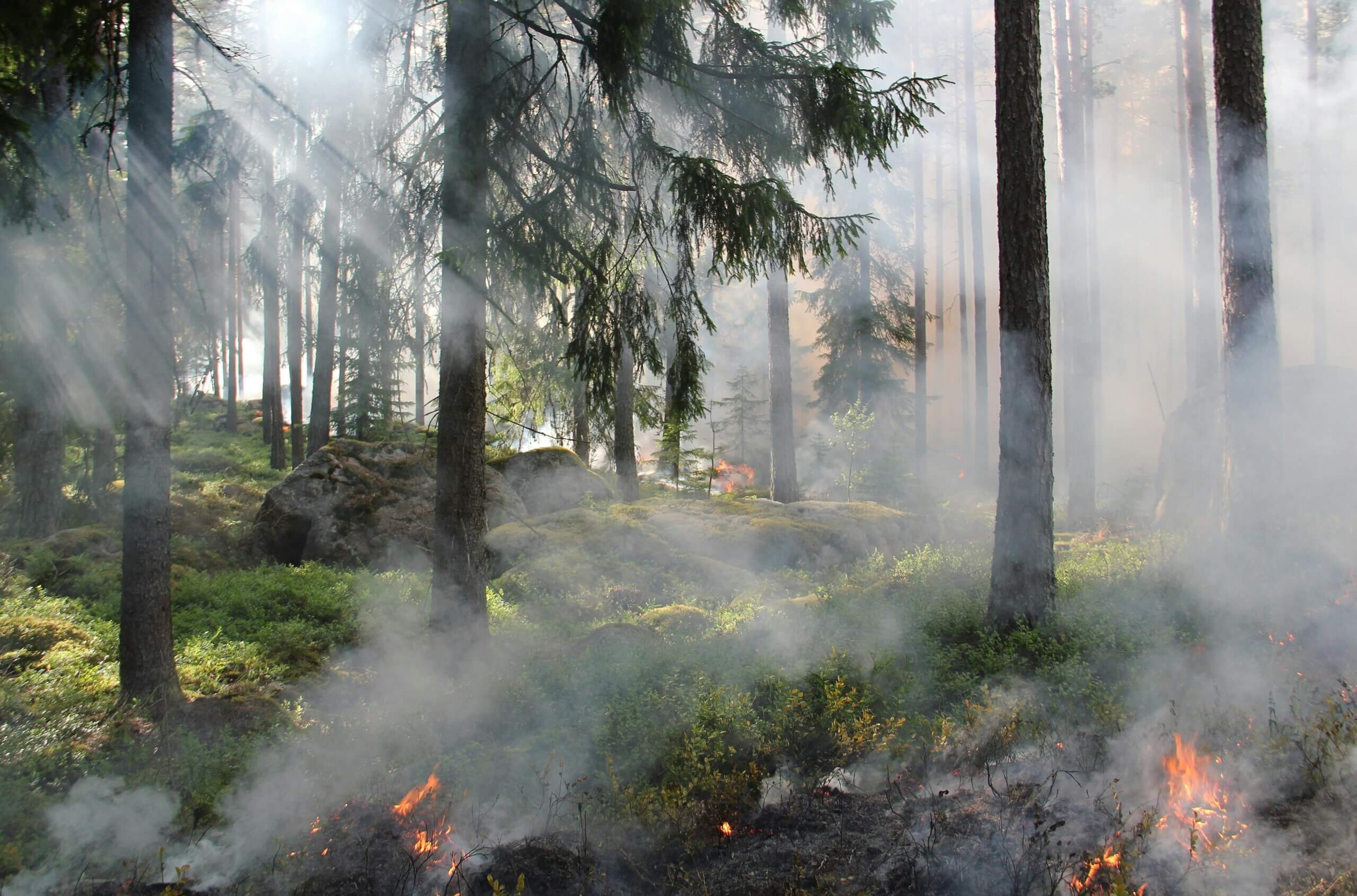 Effective Risk Communication: Lessons from Wildfire Science