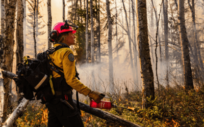 Restorative Fire: Reframing Fire Management with Dr. Kira Hoffman
