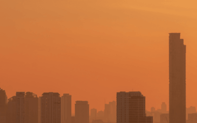Living With Wildfire: State Policy and Community Resilience